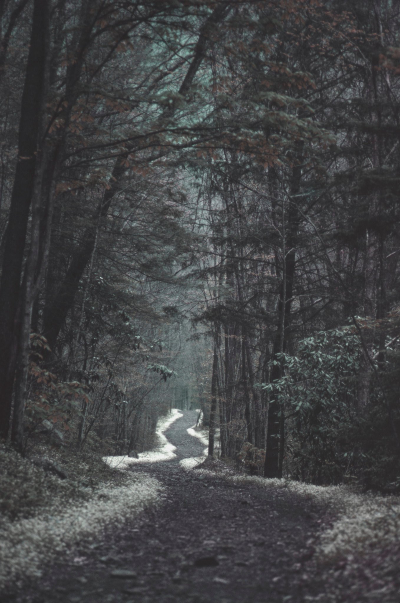 This image embodies the immersive value of nature.